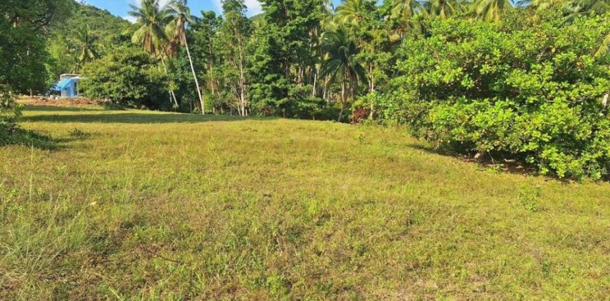 Земельный участок в Вианг Са, Таиланд  № 86019