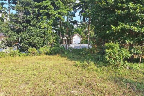 Земельный участок в Вианг Са, Таиланд  № 86019 - фото 6