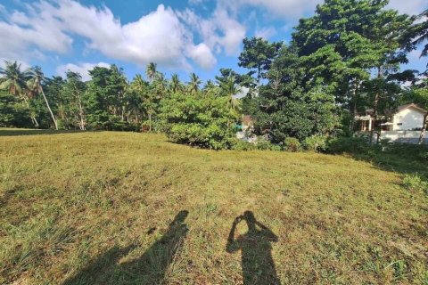 Земельный участок в Вианг Са, Таиланд  № 86019 - фото 3