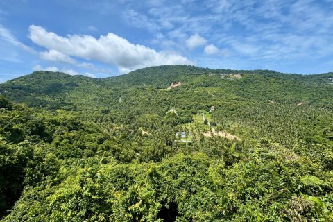 Land in Ko Samui, Thailand № 126063 - photo 2