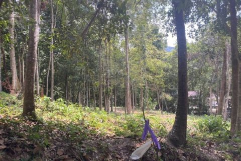 Земельный участок в Вианг Са, Таиланд  № 99994 - фото 1