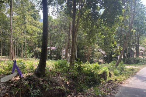 Земельный участок в Вианг Са, Таиланд  № 99994 - фото 6