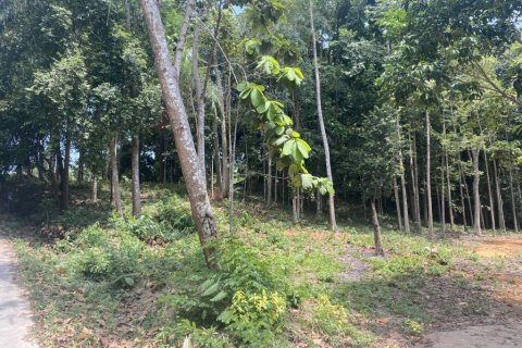 Земельный участок в Вианг Са, Таиланд  № 99994 - фото 9
