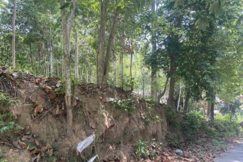 Земельный участок в Вианг Са, Таиланд  № 99994 - фото 3