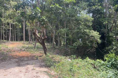 Земельный участок в Вианг Са, Таиланд  № 99994 - фото 10