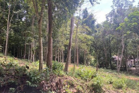Земельный участок в Вианг Са, Таиланд  № 99994 - фото 7